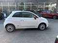 Fiat 500 1.2 Pop 69cv - Ok Neopatentati Blanc - thumbnail 8