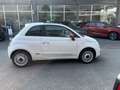 Fiat 500 1.2 Pop 69cv - Ok Neopatentati Wit - thumbnail 8