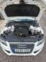 Audi A4 A4 2.0 TFSI Multitronic Blanco - thumbnail 11