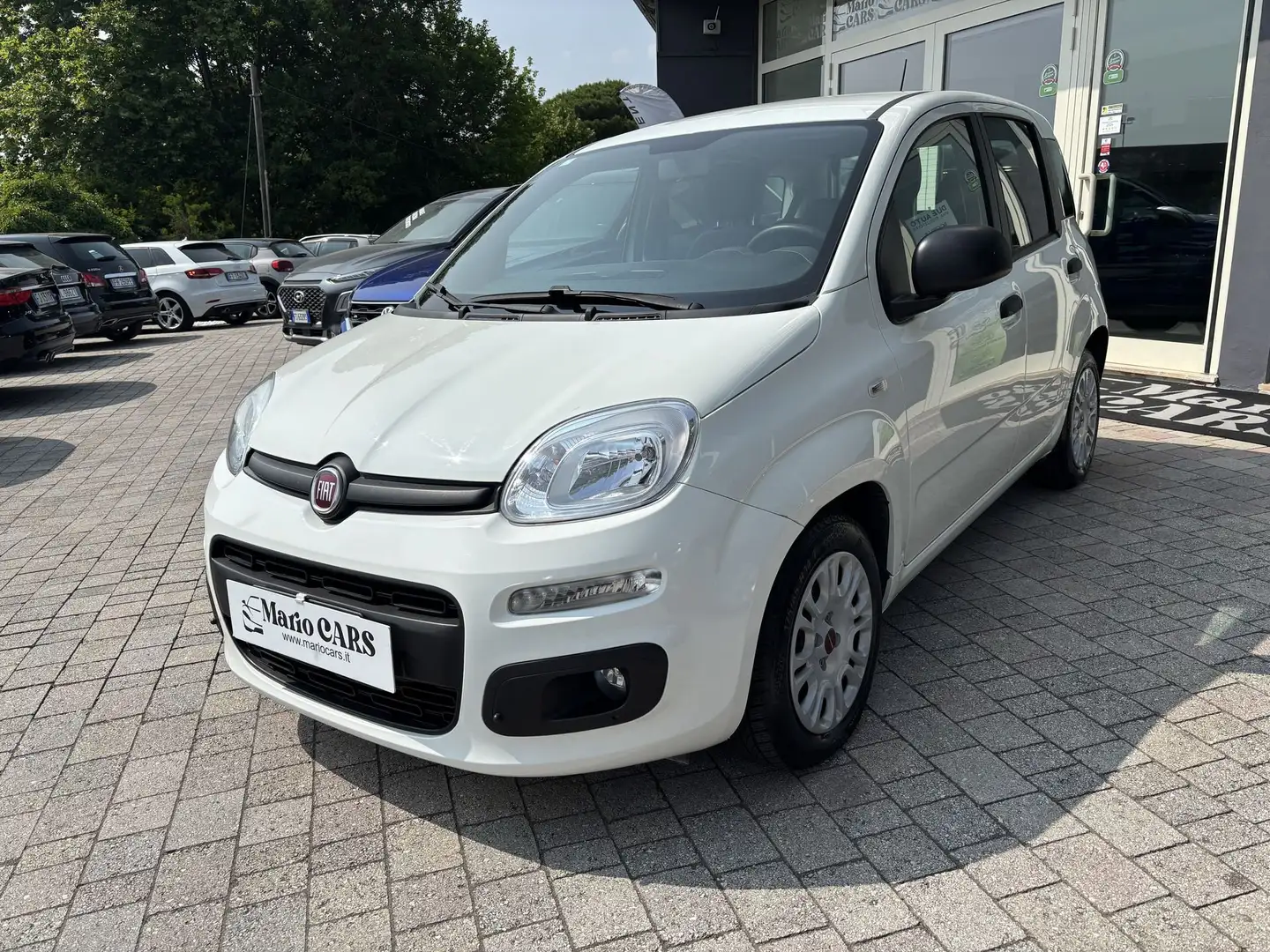 Fiat Panda 1.0 FireFly S&S Hybrid Blanc - 2