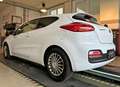 Kia ProCeed / pro_cee'd 1,4 MPI Titan | Kamera | 8-fach ber. | Scheckheft Blanc - thumbnail 16