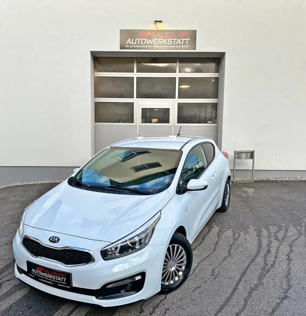 Kia ProCeed / pro_cee'd 1,4 MPI Titan | Kamera | 8-fach ber. | Scheckheft Blanc - 1