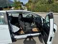 Ford B-Max Sync Edition Weiß - thumbnail 21
