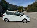 Ford B-Max Sync Edition Weiß - thumbnail 8