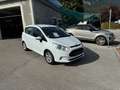 Ford B-Max Sync Edition Weiß - thumbnail 24