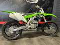 Kawasaki Groen - thumbnail 2