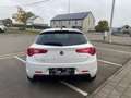 Alfa Romeo Giulietta Giulietta 1.6 JTDm Collezione B AUTO GARANTIE 12 Blanc - thumbnail 5