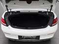 Mercedes-Benz C 180 Cabriolet PTS Shz LED Sportpaket AMG  RKam Weiß - thumbnail 22