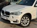 BMW X5 S-DRIVE25D 218PK |✅NAVI | CAMERA | XENON | Blanc - thumbnail 3