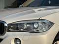 BMW X5 S-DRIVE25D 218PK |✅NAVI | CAMERA | XENON | Blanc - thumbnail 4