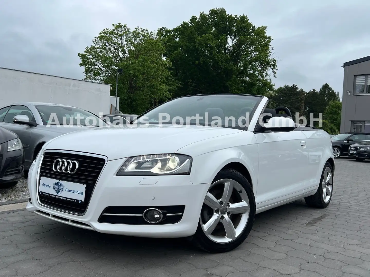 Audi A3 Cabriolet Ambition/S-Heft/Alcan/Bose/SHZ/Xen Weiß - 2