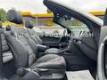Audi A3 Cabriolet Ambition/S-Heft/Alcan/Bose/SHZ/Xen Weiß - thumbnail 12