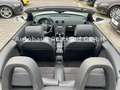 Audi A3 Cabriolet Ambition/S-Heft/Alcan/Bose/SHZ/Xen Weiß - thumbnail 14