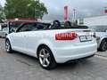 Audi A3 Cabriolet Ambition/S-Heft/Alcan/Bose/SHZ/Xen Weiß - thumbnail 5