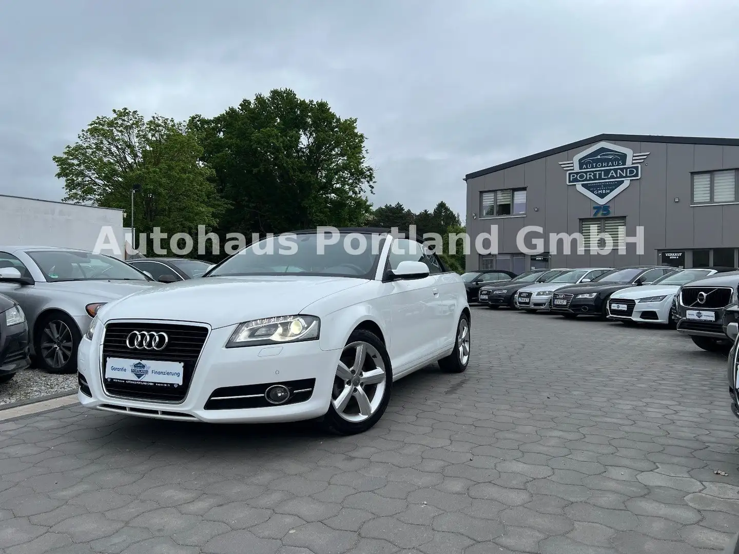 Audi A3 Cabriolet Ambition/S-Heft/Alcan/Bose/SHZ/Xen Weiß - 1