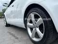 Audi A3 Cabriolet Ambition/S-Heft/Alcan/Bose/SHZ/Xen Weiß - thumbnail 6