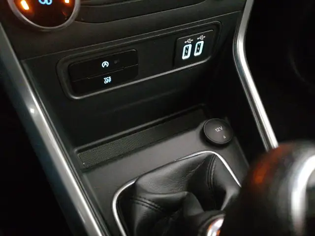 Ford Ecosport view 18