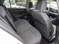 Volkswagen Golf VIII 1.5 TSI Life SHZ H/K NAVI ACC LED Blanco - thumbnail 4