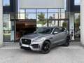 Jaguar F-Pace 2.0D 180ch Chequered Flag AWD BVA8 Grau - thumbnail 1