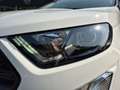 Ford EcoSport 1.0 ST-Line LED B&O Alcantara CarPlay Blanc - thumbnail 19
