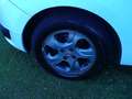 Dacia Sandero Sandero 1.2 75cv FULL. OPT. Bianco - thumbnail 5