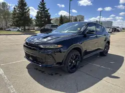 Dodge Hornet 2024
