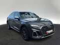 Audi SQ5 3.0 TDI quattro tiptronic Panorama Grau - thumbnail 6