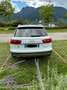 Audi A6 allroad 3.0 tdi Business 245cv s-tronic - thumbnail 7