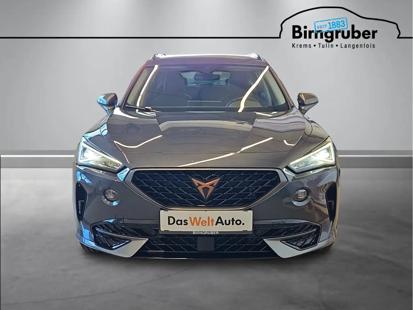 CUPRA Formentor 1.5 TSI 150 PS DSG ACT Grau - 2