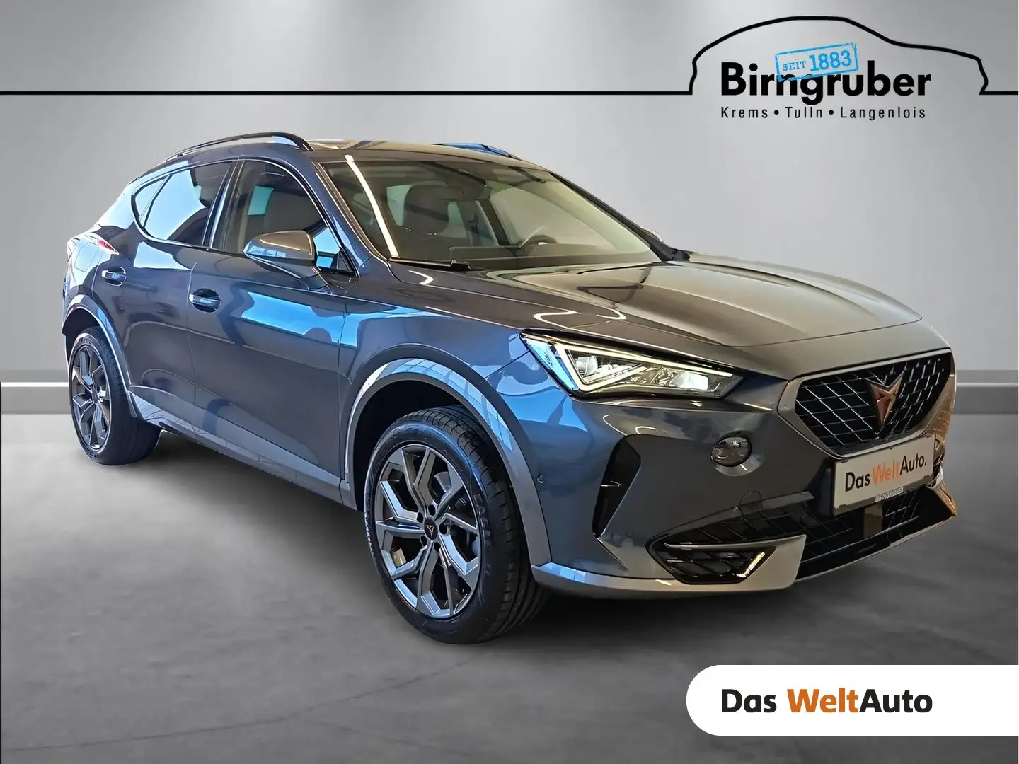CUPRA Formentor 1.5 TSI 150 PS DSG ACT Grau - 1