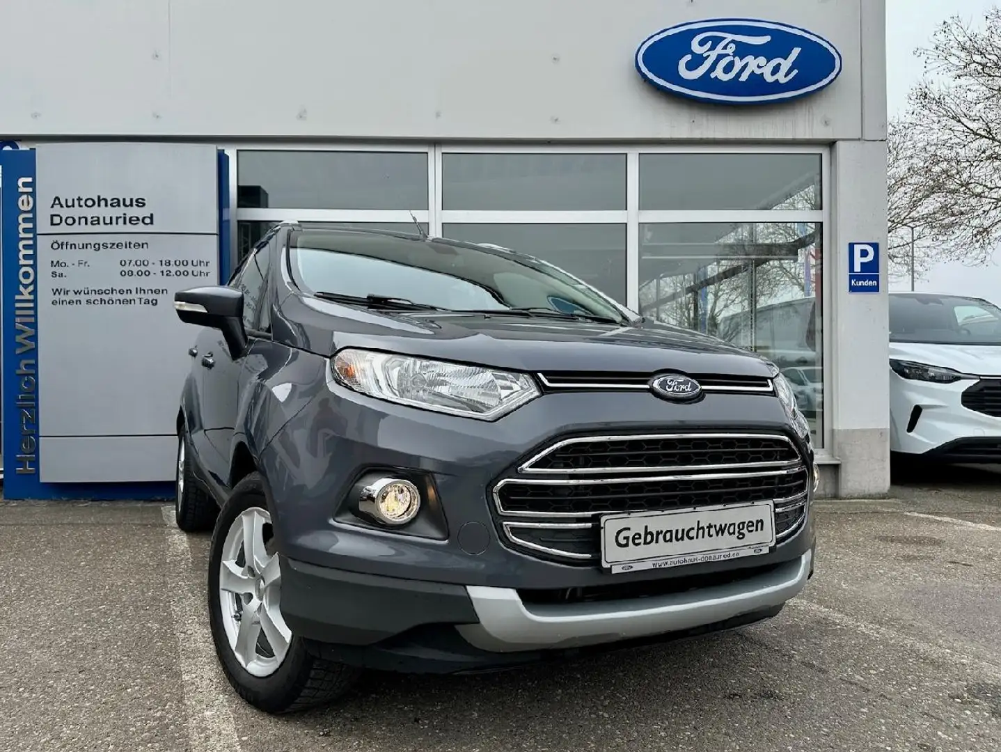 Ford EcoSport Titanium Grau - 1