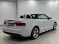 Audi A5 Cabriolet 2.0 TDI S-Line|BIXENON|NAVI|HU NEU| Weiß - thumbnail 7