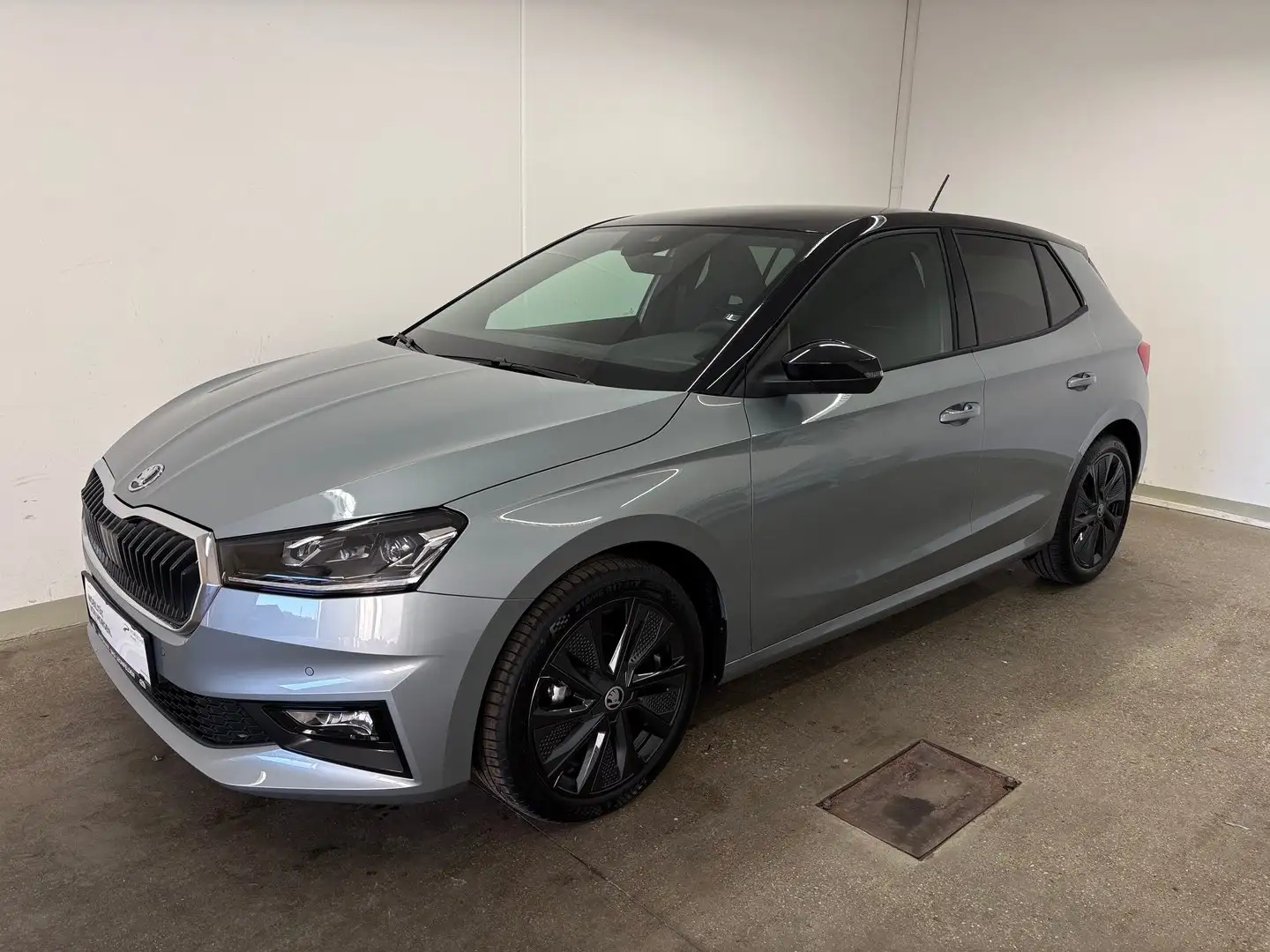 Skoda Fabia Selection TSI Silber - 1