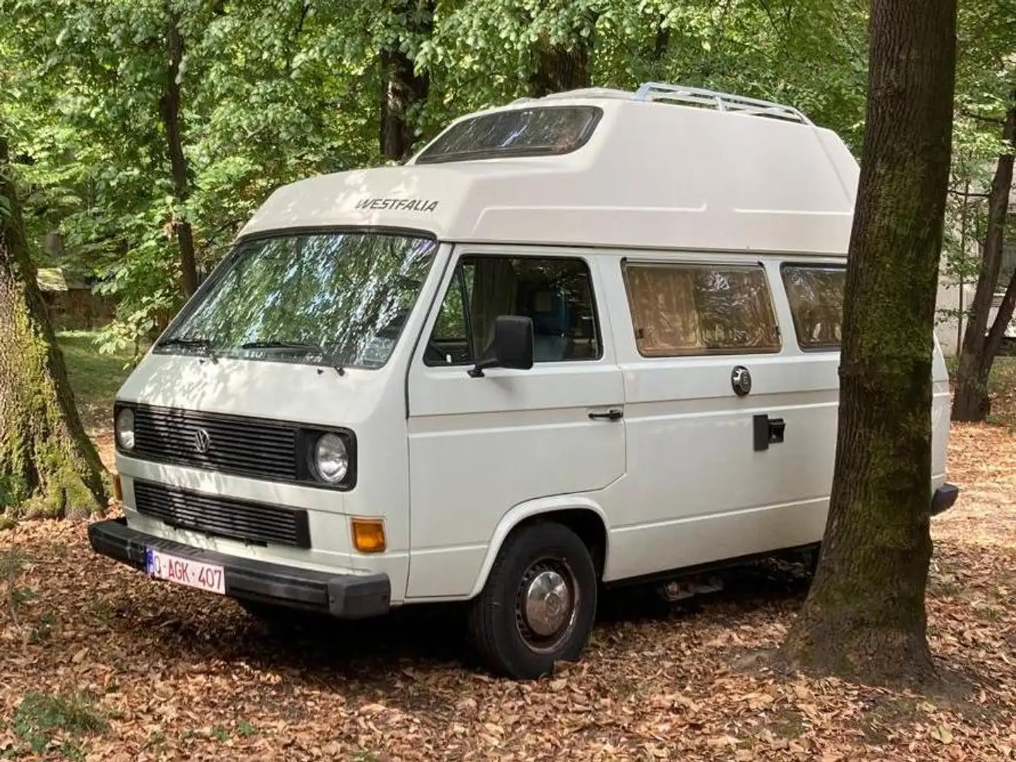 Volkswagen T3 California - 1