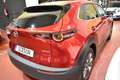 Mazda CX-30 2.0 Skyactiv-G Zenith 2WD 90kW Rojo - thumbnail 14