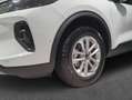 Ford Kuga 1.5 EcoBoost TITANIUM Weiß - thumbnail 5