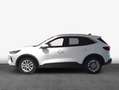 Ford Kuga 1.5 EcoBoost TITANIUM Weiß - thumbnail 4