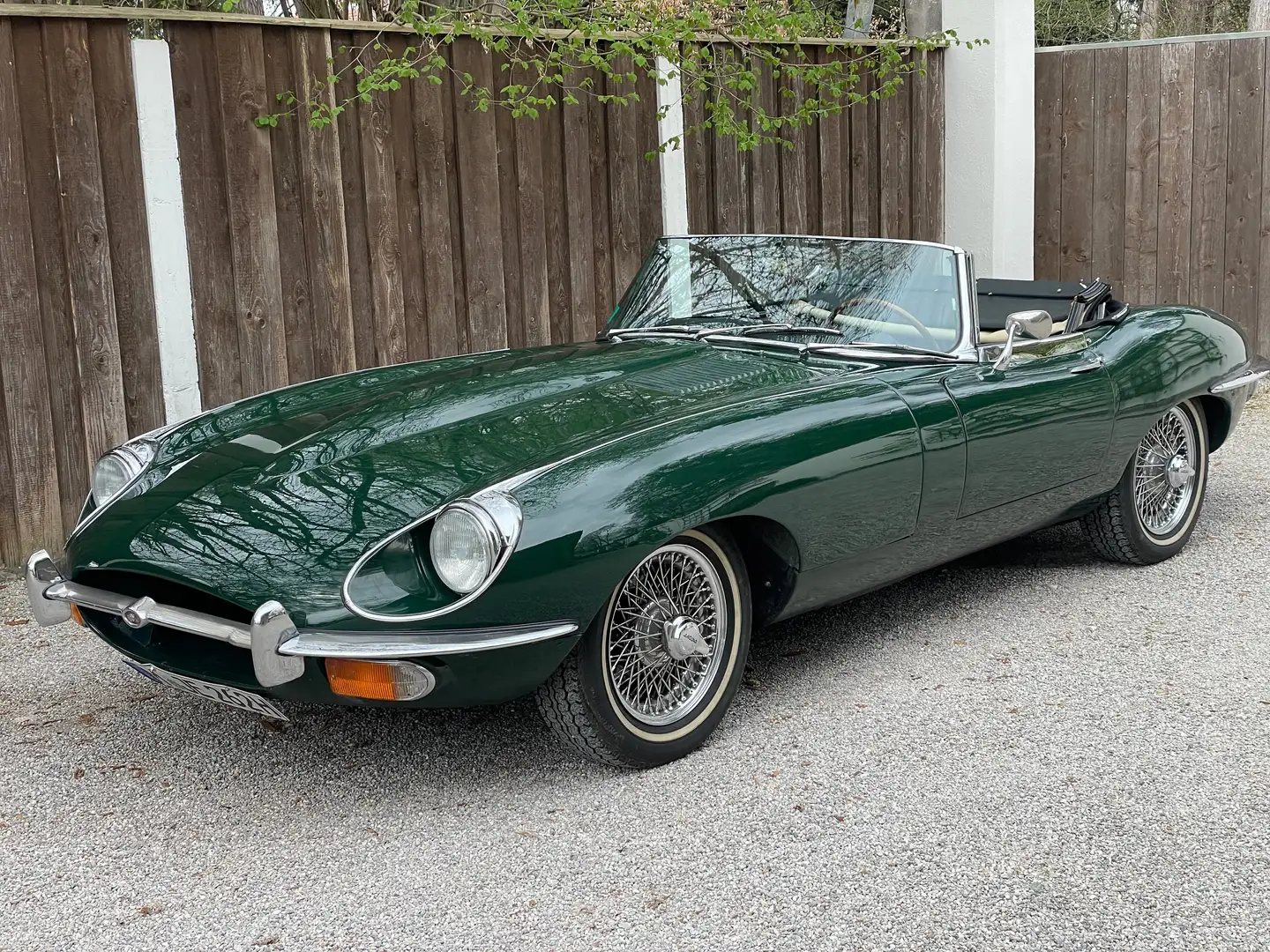 Jaguar E-Type Roadster Motor revidiert!!! Зелёный - 1