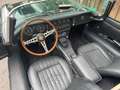 Jaguar E-Type Roadster Motor revidiert!!! Зелёный - thumbnail 8