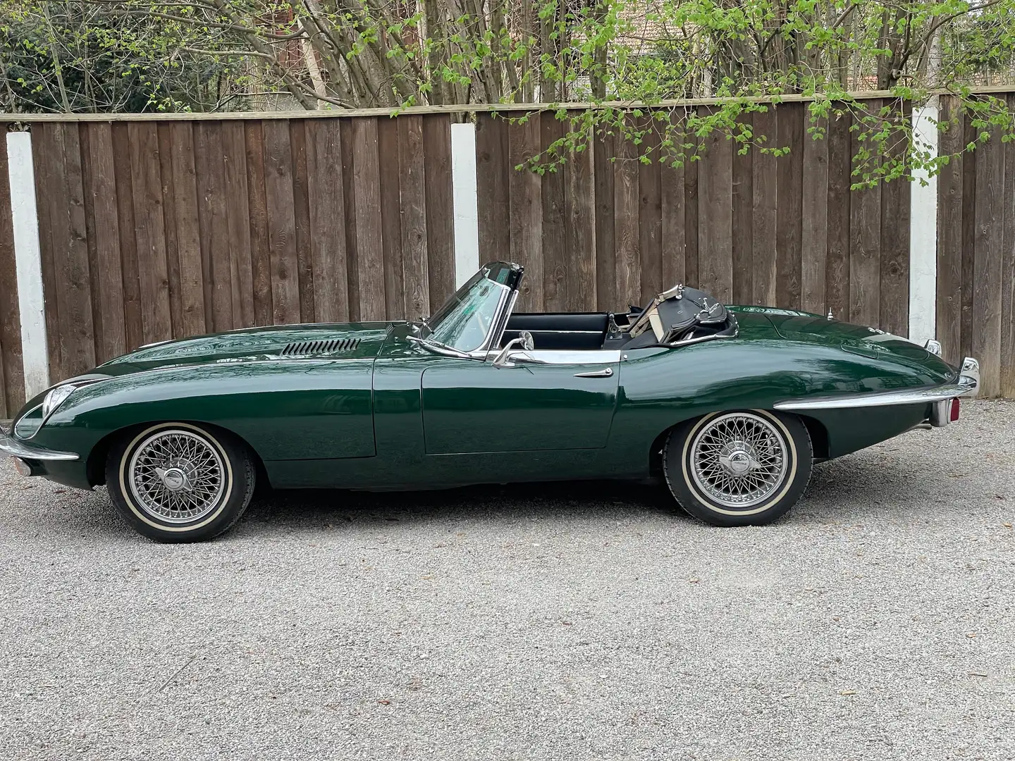 Jaguar E-Type Roadster Motor revidiert!!! Зелёный - 2