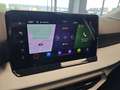 SEAT Ibiza Road Edition 1.0TSI DSG |LED|SHZ|KAM|Kessy Negru - thumbnail 12