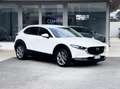 Mazda CX-30 2.0 Hybrid 150CV 2WD E6 - 2020 Blanc - thumbnail 1