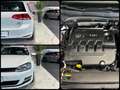 Volkswagen Golf 5p 1.6 tdi NEOPATENTATI 110cv dsg Blanc - thumbnail 14