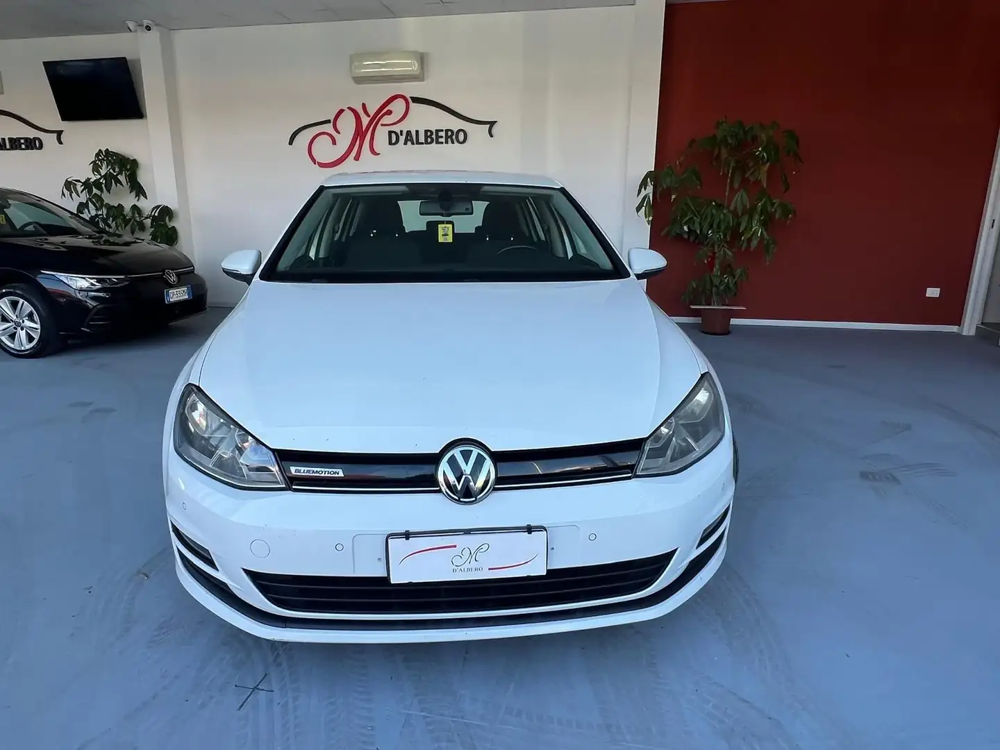 Volkswagen Golf 1.6 TDI 110 CV 5p. Executive BlueMotion Technology Bianco - 1