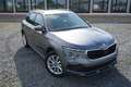 Skoda Kamiq 1.0TSI DSG AHK Navi/MirrorLi Matrix Kamera Gris - thumbnail 8