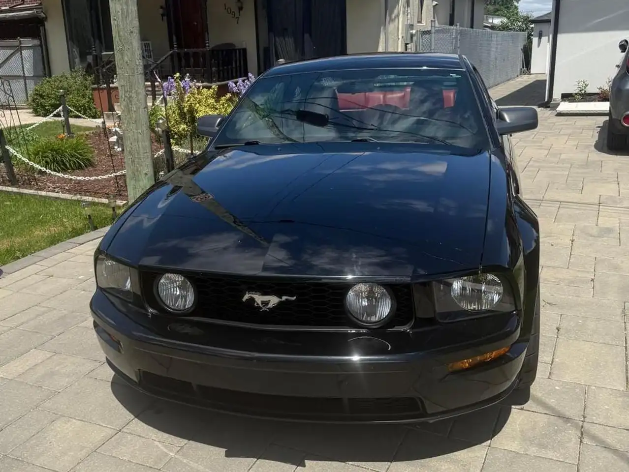 Ford Mustang fotografie Ford Mustang