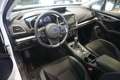 Subaru Impreza AWD Exclusive Line Aut. ACC/LED/SHZ Weiß - thumbnail 7