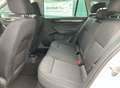 Skoda Rapid/Spaceback Clever - HU neu - Carvertical vorhanden Alb - thumbnail 7