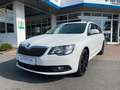 Skoda Superb Combi Active Kombi 1.4 TSI AHK|NAV|APP... Weiß - thumbnail 3