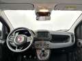 Fiat Panda 1.0 Hybrid City | DEMONSTRATIEMODEL | Blauw - thumbnail 2